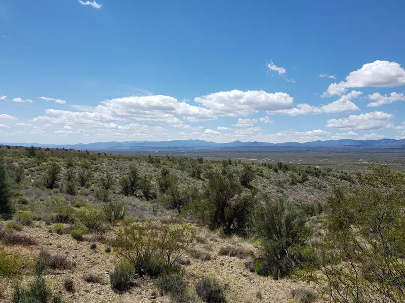 S Blue Topaz Road #-, Hackberry, AZ 86411