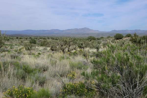 Hackberry, AZ 86411,0 S Coffer Ranch Road #-