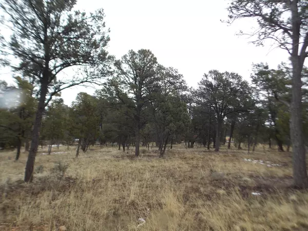 3479 FENCE POST Drive #29, Heber, AZ 85928