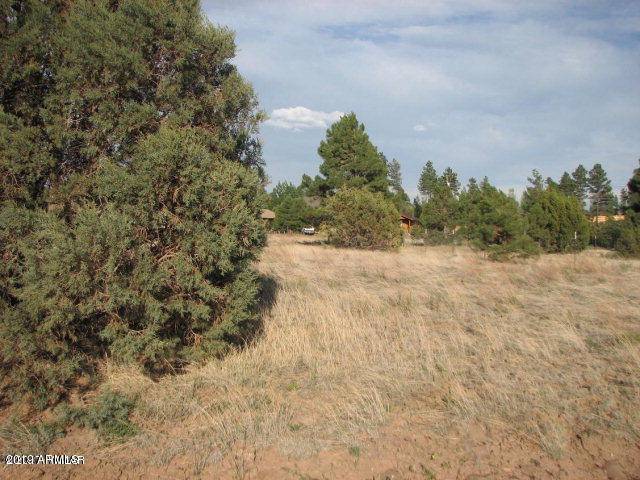 2743 Pine Meadow Drive #145, Overgaard, AZ 85933