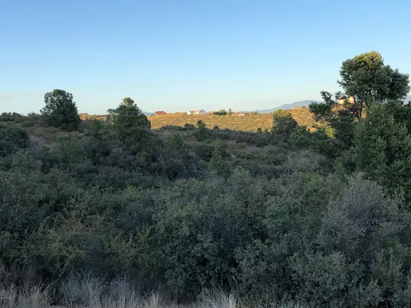 Peeples Valley, AZ 86332,18424 W Ravens Nook -- #C