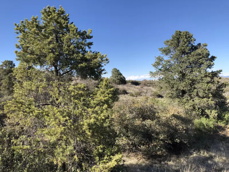 18424 W Ravens Nook -- #C, Peeples Valley, AZ 86332