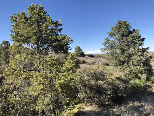 18424 W Ravens Nook -- #C, Peeples Valley, AZ 86332