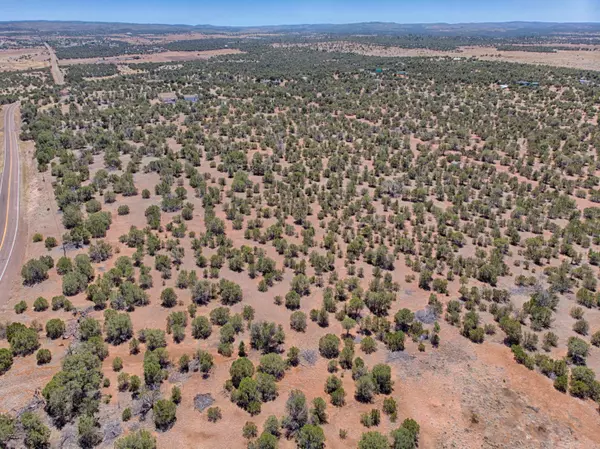 0 Pulp Mill Road #-, Clay Springs, AZ 85923