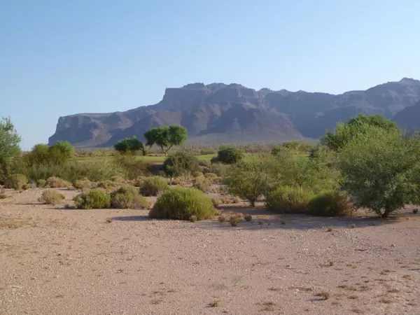 Gold Canyon, AZ 85118,9068 E CANYON VIEW Trail #5