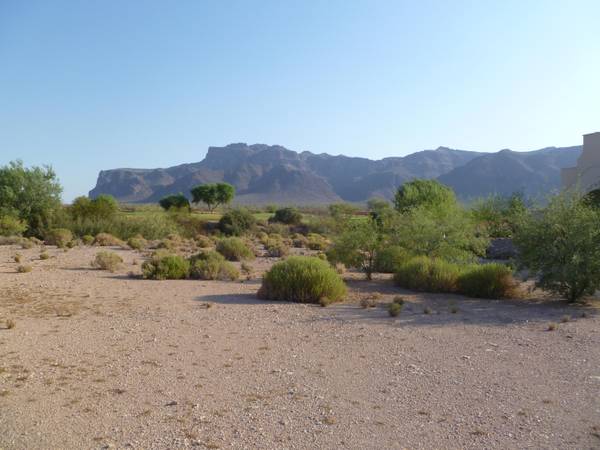 Gold Canyon, AZ 85118,9068 E CANYON VIEW Trail #5