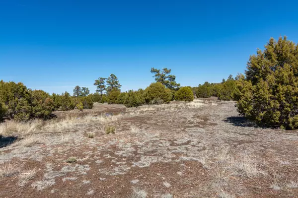 Show Low, AZ 85901,0 WOOLFORD (APPROX) Road #-