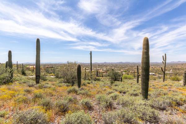 Cave Creek, AZ 85331,5966 E Hidden Valley Drive #14