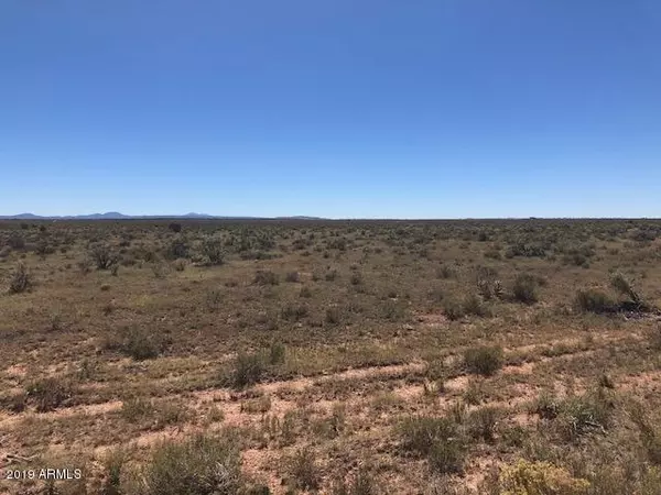 Williams, AZ 86046,329 E CONCHO Road #579