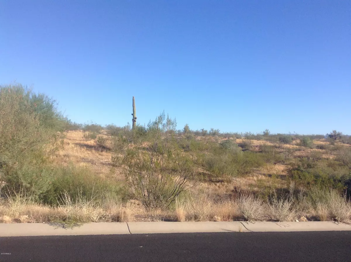 Wickenburg, AZ 85390,0 Percheron Road #102