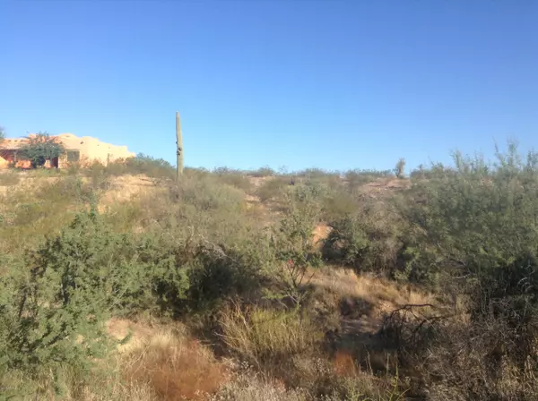 Wickenburg, AZ 85390,0 Percheron Road #102