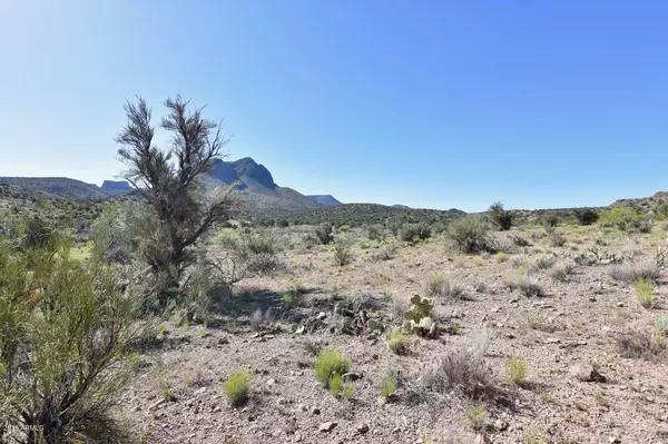 Kingman, AZ 86401,Knight Creek Road #-