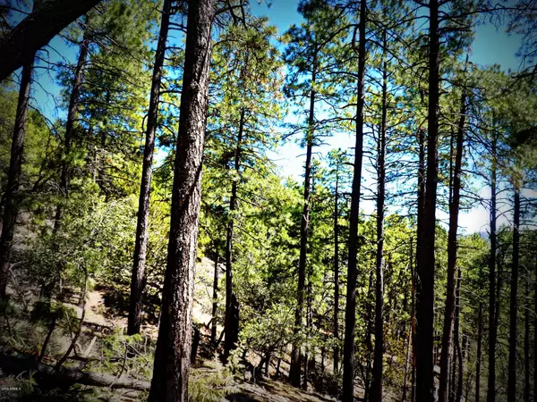 Prescott, AZ 86303,1500 E Forest Service RD 81 -- #0