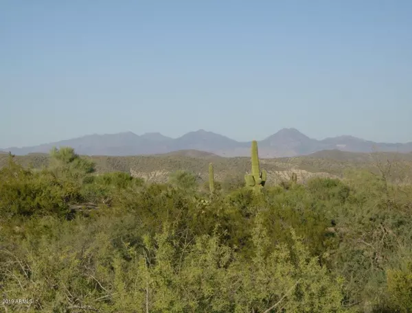 Scottsdale, AZ 85262,136 E Hawknest Road #-