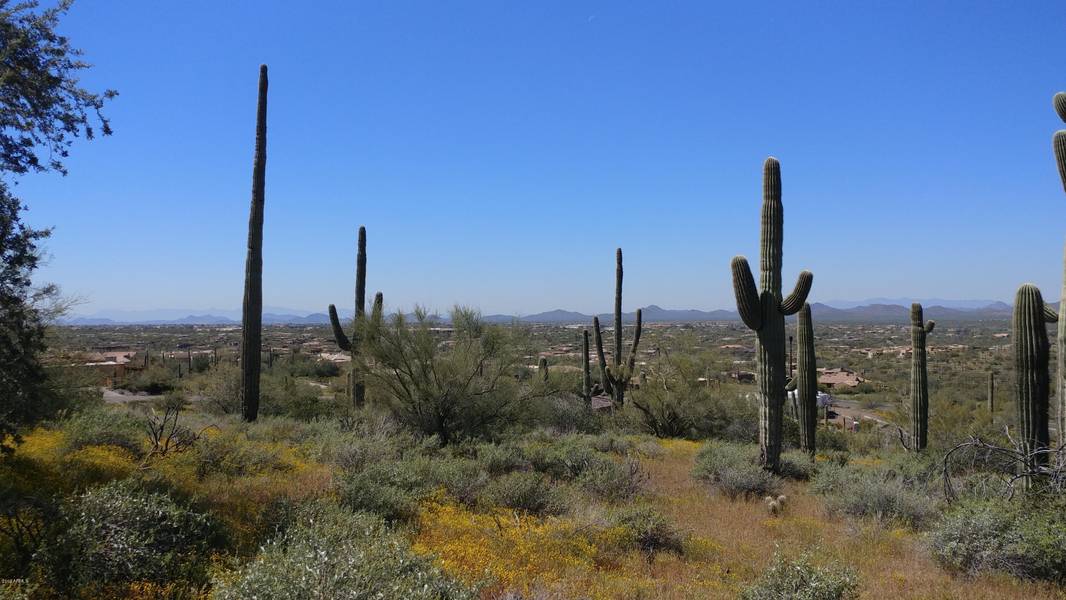 36444 N 61ST Street #20, Cave Creek, AZ 85331