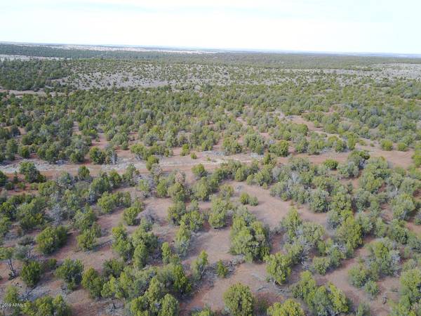 Overgaard, AZ 85933,Cedar Creek Drive #-