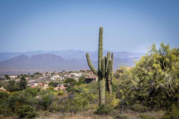 Fountain Hills, AZ 85268,14442 E DESERT TORTOISE Trail #28