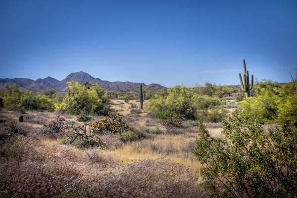 Fountain Hills, AZ 85268,14442 E DESERT TORTOISE Trail #28