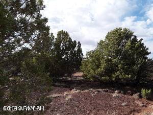 140 Show low PInes Unit 9 -- #140, Concho, AZ 85924