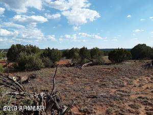 Concho, AZ 85924,140 Show low PInes Unit 9 -- #140