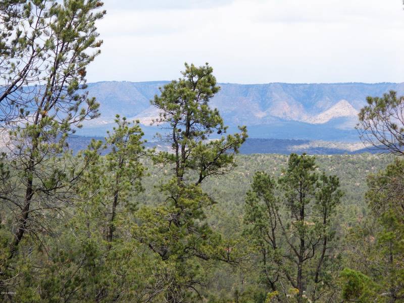 1400 E TRANQUILITY Point #-, Payson, AZ 85541