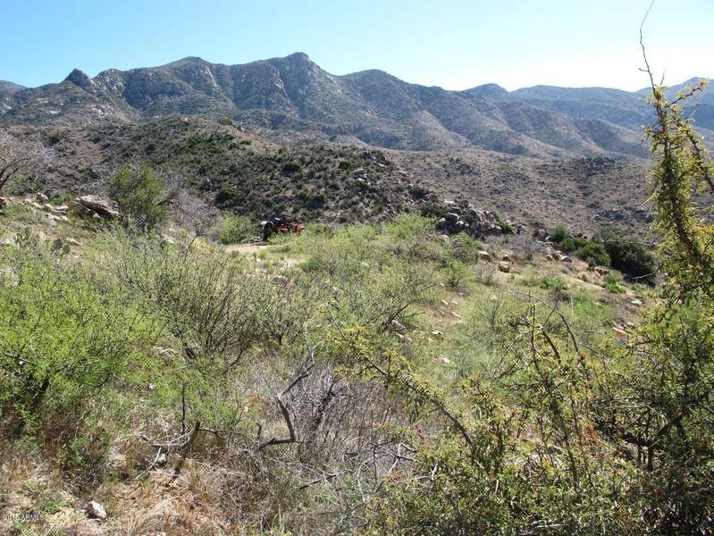 0 N Columbia Mine Road #68 - 40 Acres, Morristown, AZ 85342