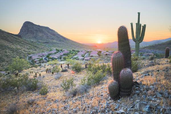 Fountain Hills, AZ 85268,9805 N Talon Trail #9