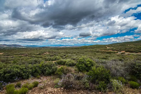 Dewey, AZ 86327,15885 E LONE FOX Trail