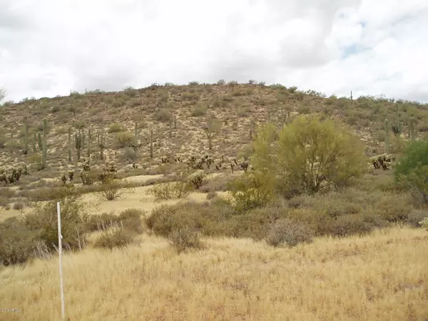 Unincorporated County, AZ 85361,30488 W Cloud Road #124