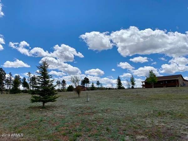 Overgaard, AZ 85933,2241 BEAR CLAW Drive #19