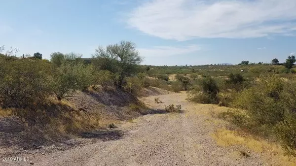 Wickenburg, AZ 85390,56202 N VULTURE MINE Road #2 & 3