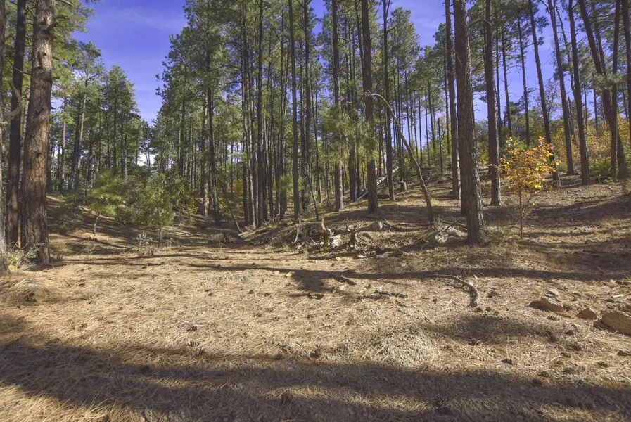 3190 W TREE TOPS Trail #D, Prescott, AZ 86303