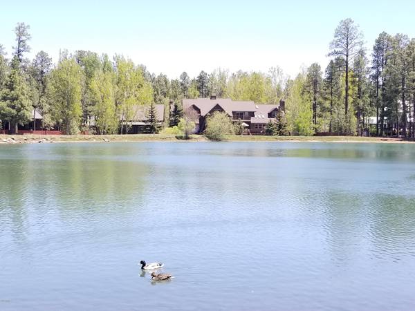 Pinetop, AZ 85935,8161 White Oak Road