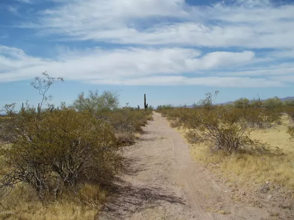 35901 N 347th Avenue #63, Unincorporated County, AZ 85390