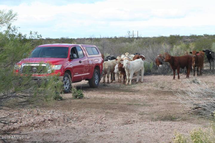 6 Gardenshire -- #Lot 94, Florence, AZ 85132