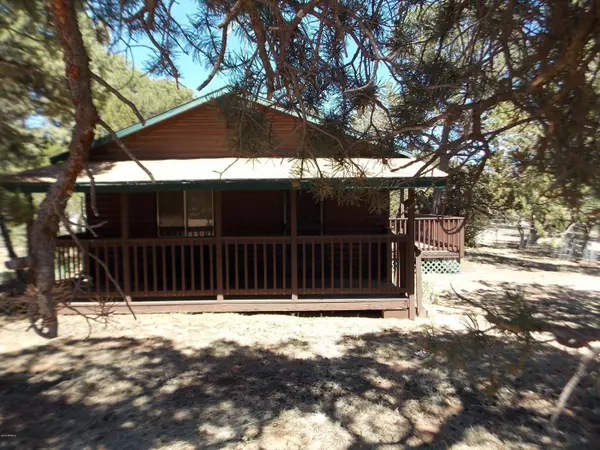 3575 DEER TRACK Trail, Overgaard, AZ 85933