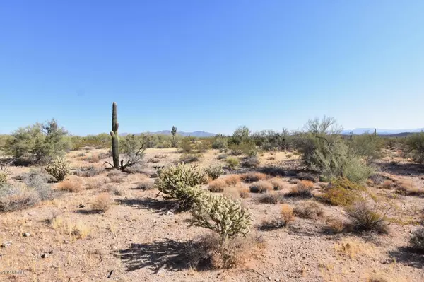 Wikieup, AZ 85360,40 Coyote Wells Road #-