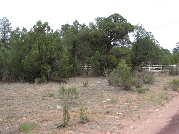 Overgaard, AZ 85933,2178 Rim View Trail #21