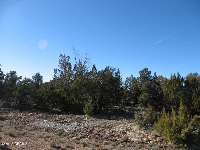 3914 N Sunset Ridge Loop #139, Happy Jack, AZ 86024