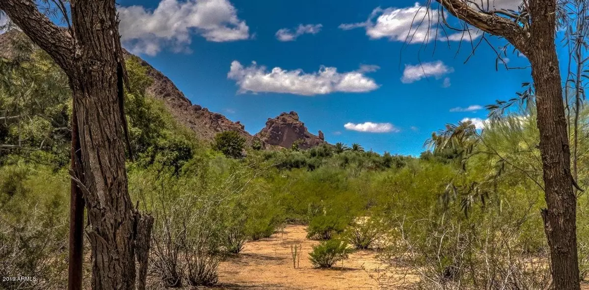 Paradise Valley, AZ 85253,6447 E MCDONALD Drive #-