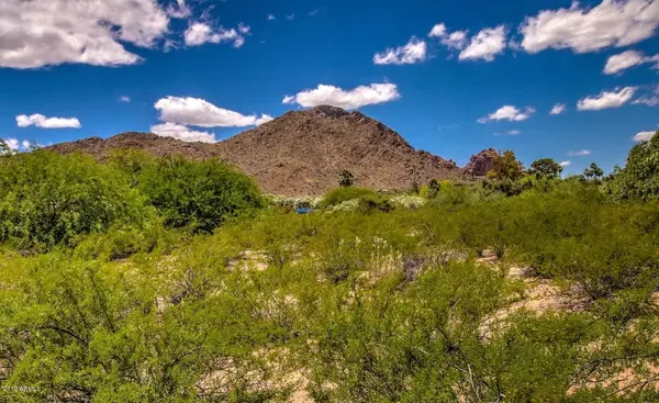 Paradise Valley, AZ 85253,6447 E MCDONALD Drive #-