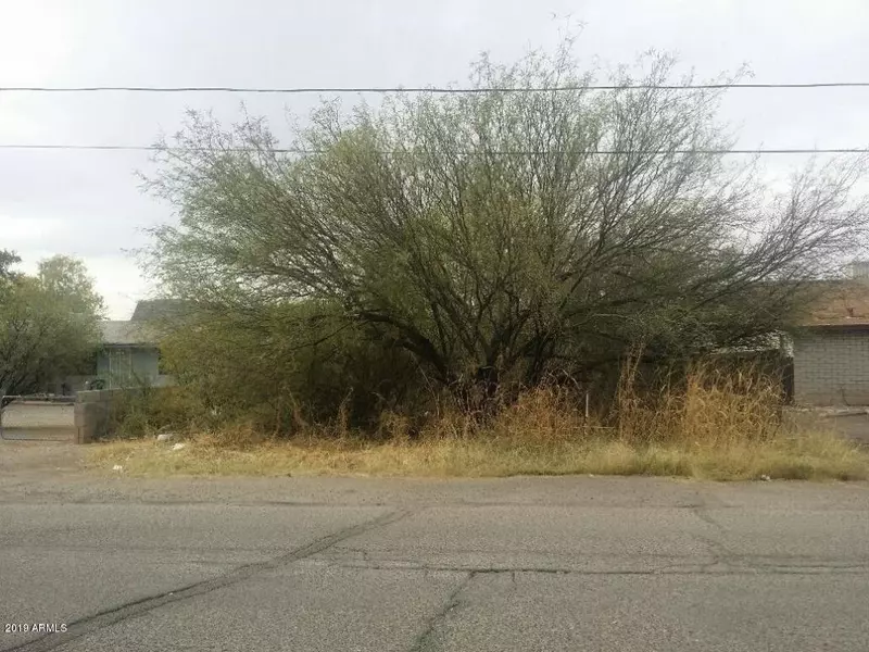 E Apache Drive #'''-''', Douglas, AZ 85607