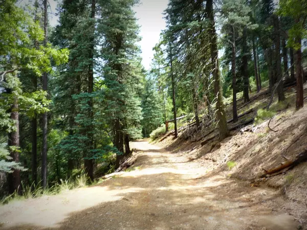 Prescott, AZ 86303,1500 E FOREST SERVICE 81_3.086 Road #0