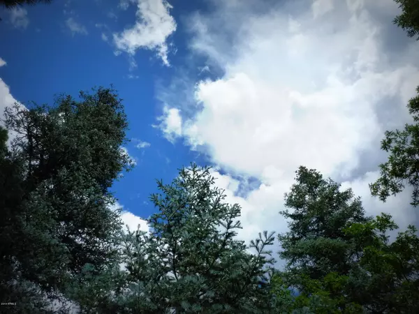 Prescott, AZ 86303,1500 E FOREST SERVICE 81_3.086 Road #0