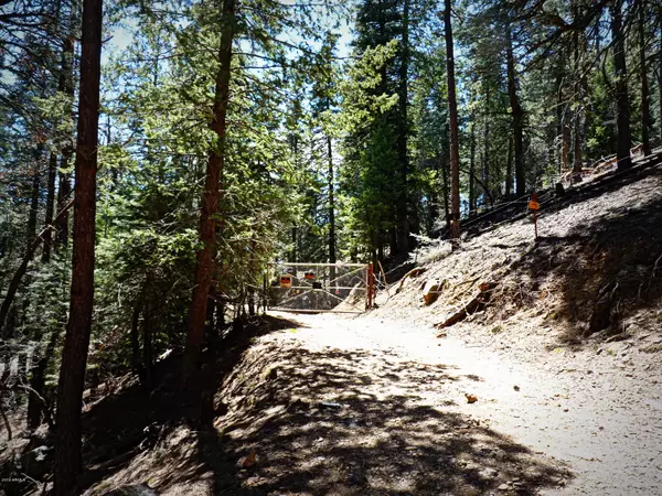 Prescott, AZ 86303,1500 E FOREST SERVICE 81_3.086 Road #0