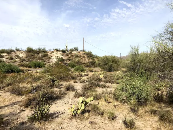 Black Canyon City, AZ 85324,0 Coldwater Road #-