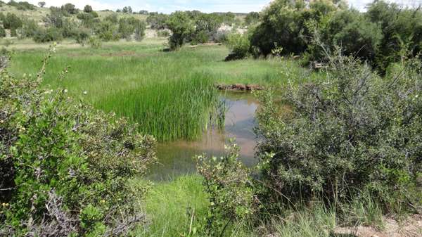 99 River Springs Ranch Unit 3 -- #99,  St Johns,  AZ 85936