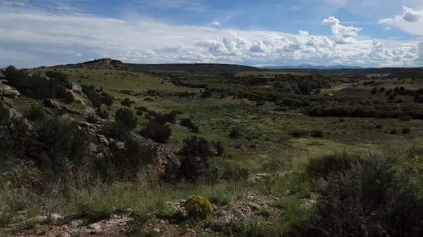 St Johns, AZ 85936,109 River Springs Ranch Unit 3 -- #109