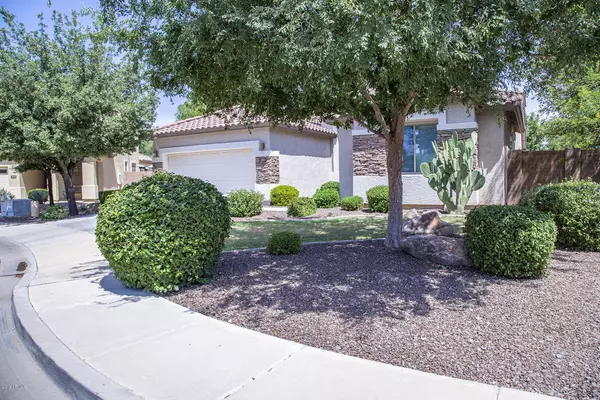 Chandler, AZ 85286,3610 E KINGBIRD Place