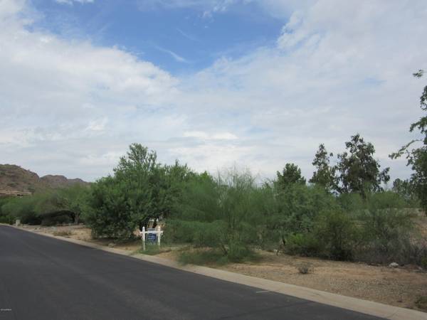 Paradise Valley, AZ 85253,E Meadowlark Lane #-